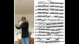 Crazy Volière (Carnaval des Animaux Flute Excerpt) 🤪🦜