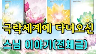 극락세계에 다녀온 스님 이야기 전체글 | 극락세계유람기(허운대사,관정큰스님)