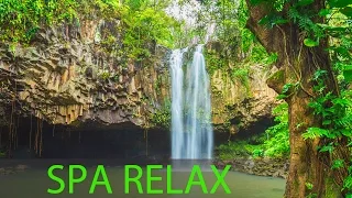 Relaxing Spa Music, Meditation, Healing, Stress Relief, Sleep Music, Yoga, Sleep, Zen, Spa, ☯277