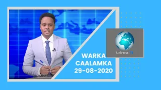 Warka Universal TV 29 08 2020