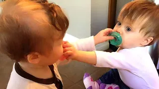 Funny Baby Videos that Will Melt Your Heart ❤️