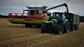 🌾Żniwa Pszenicy 2023🌾🔥Claas Trion 660🔥