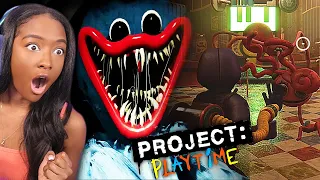 PROJECT: Playtime is TERRIFYING!!