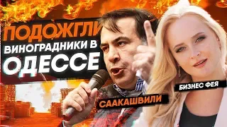 Михаил Саакашвили про поджог виноградников в Одессе Кристофа Лакарена. Последние новости.