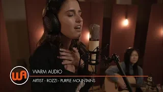 Rozzi - "Purple Mountains" Live at Dubway Studios