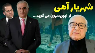 شهریار آهی از وضعیت اپوزیسیون و نقش شاهزاده رضا پهلوی می گوید