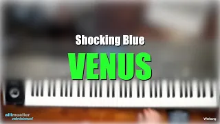 Pa1000/4X - "Venus" - Shocking Blue # 516