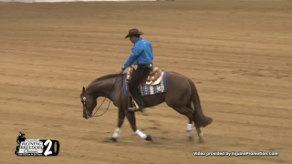 2017 NRBC Classic Level 4 Champions Chic Dreamin and Andrea Fappani