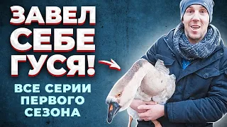 ГУСИН/ Все серии первого сезона.