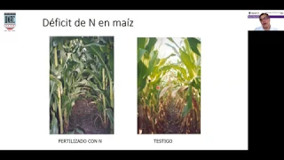 Ecofisiología de la Producción Vegetal - Clase Nutrientes II. Dr. Gabriel Esposito