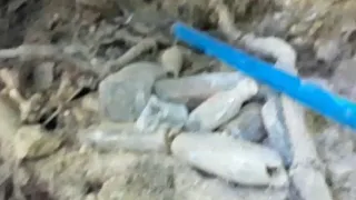 I Found A Bottle Dump Down The Creek Part 2!!!