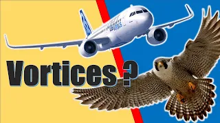 VORTICES - A NECESSARY EVIL? | VORTEX IS ESSENTIAL? | WINGTIP VORTEX