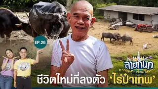 สัมผัสความสุขที่จับต้องได้ในไร่ป๋าเทพ | ลายกนก ยกสยาม | EP.26