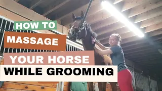 How To Massage Your Horse While Grooming | Gain Trust, Improve Your Partnership