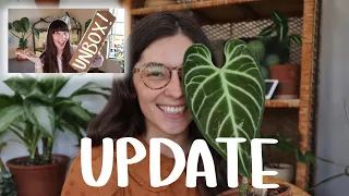 BIG plant unboxing update 1+ year later | unboxing update