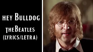 Hey Bulldog - The Beatles (Lyrics/Letra)