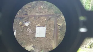 22lr 300 yards