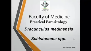 Dracunculus medinensis and schistosoma sp. Practical parasitology