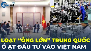 Loạt "ông lớn" Trung Quốc ồ ạt muốn đầu tư vào Việt Nam | CafeLand