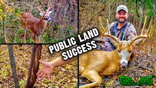 NICE Kansas Public Land Buck Tagged! Hunting Action Heats Up - November 2020 (#589)