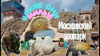 МОСКОВСКИЙ ЗООПАРК. ОЧЕНЬ КРАСИВО И ИНТЕРЕСНО. MOSCOW ZOO .VERY BEAUTIFUL