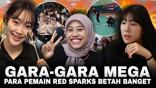 GA BETAH GIMANA COBA ! MEGA Suguhkan Aktivitas Yg Tak Pernah Didapatkan Pemain Red Sparks Di Korea !