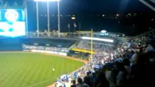 Cat on the field at the royals vs mariner game