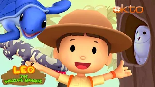 Leo the Wildlife Ranger | LEARN About Animals that LAY EGGS🐢| Turtle, Owl & More!|@mediacorpokto