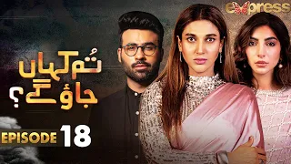 Pakistani Drama | Tum Kahan Jao Gay - Episode 18 | Sana Fakhar, Faizan Shaikh, Saleem Meraj | I2C1T