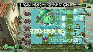 Probando a Seta marina en los niveles semanales de la planta de la semana - PvZ 2