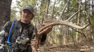 Giant North Idaho Deer Shed