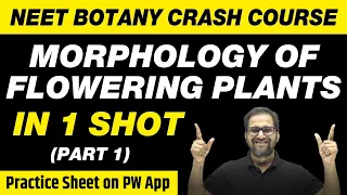 MORPHOLOGY OF FLOWERING PLANTS in One Shot (Part 1) - All Concepts, Tricks & PYQs | Class 11 | NEET