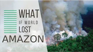 What If We Lost Amazon (Rainforest)?