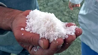 La sal, de dónde viene y cómo se hace / Salinas de Guérande, Francia / Sal de mar para cocina