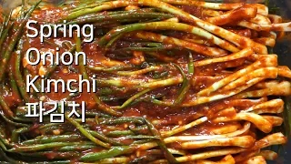 Spring onion kimchi, Korean Kimchi, Korean food