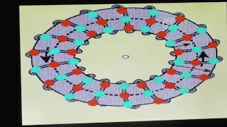 Летательный аппарат будущего: проект МАГФ А. Бережной