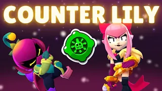 TOP 5 LILY COUNTERS!