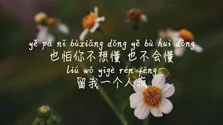 【欢-苏琛】HUAN-SU CHEN / TIKTOK,抖音,틱톡/Pinyin Lyrics, 拼音歌词, 병음가사/No AD, 无广告,광고없음
