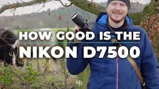 Is the Nikon D7500 a Good Camera?