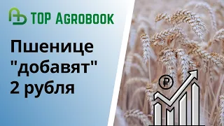 Цену отсечения по пшенице могут поднять. Что это значит для сельхозпроизводителей? TOP Agrobook