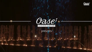 OASE Products | Fountain Technology | Multi Directional Drive L 2D DMX 02 | English