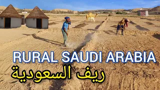 Unseen Rural Life In Saudi Arabia | الحياة الریفیةالسعودیة | Pure Natural Life