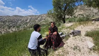 Master Ali Struggling with Truth and Family Trying to Propose to Leila with His Family