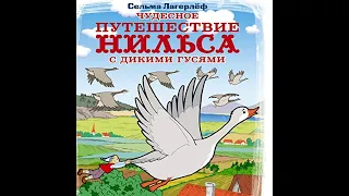 Заколдованный мальчик. Приключения Нильса с дикими гусями. Часть1.