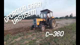 🔥 Oporowa Orka Ursusem c-360 🚜 + Engine Sound 🌾 Ukradli 3 skibe 😥