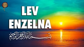 Lev Enzelna | Eğer biz bu Kur’an’ı bir dağa indirseydik 50 tekrar