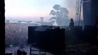 Steve angello Veld