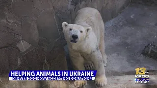 Denver Zoo raising funds to help Ukrainian Zoos