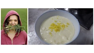 Vegani Jedu Samo Travu i Njihova Ishrana Nije Normalna! + Recept za Krem of Limuna - Dan 24