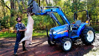 Processing, cooking and preserving our first pig on the farm - Free Range Homestead Ep 18